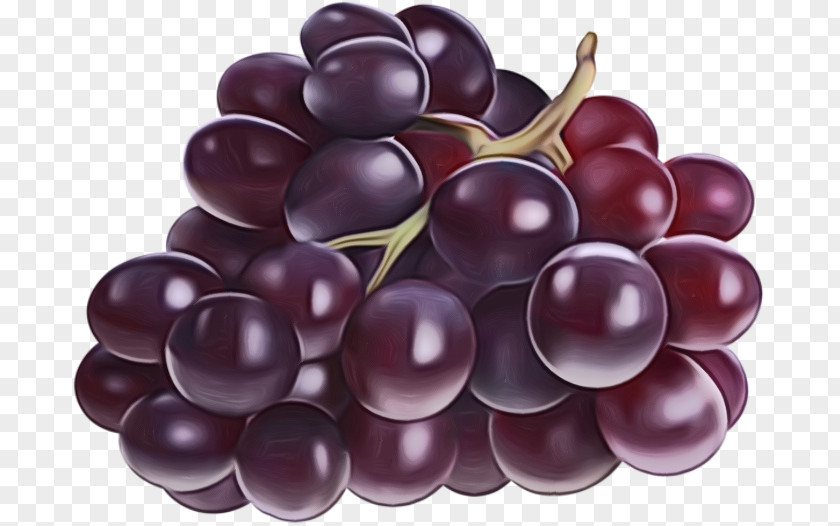 European Plum Berry Grape Fruit Grapevine Family Food Seedless PNG