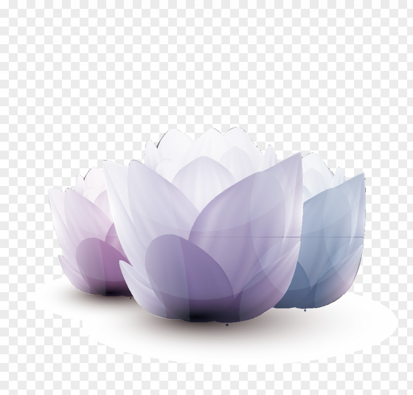 Fresh Purple Lotus Nelumbo Nucifera PNG