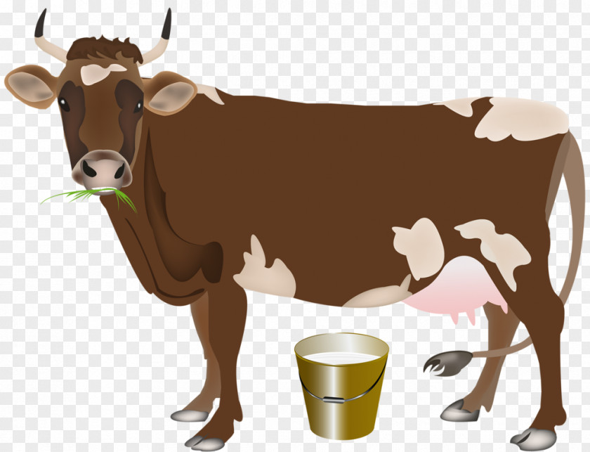 Milk Dairy Cattle Calf Farming PNG