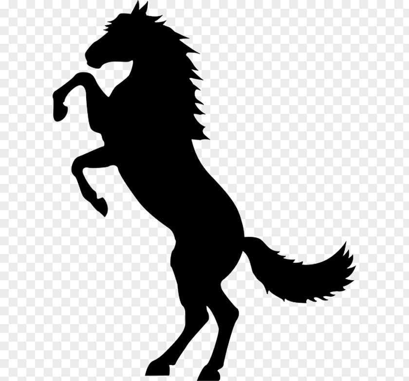 Mustang Rearing Stallion Stencil Silhouette PNG