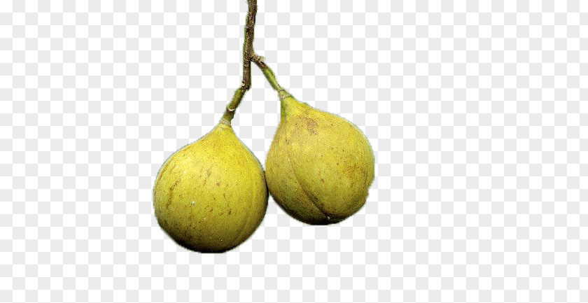 Pear Lemon PNG