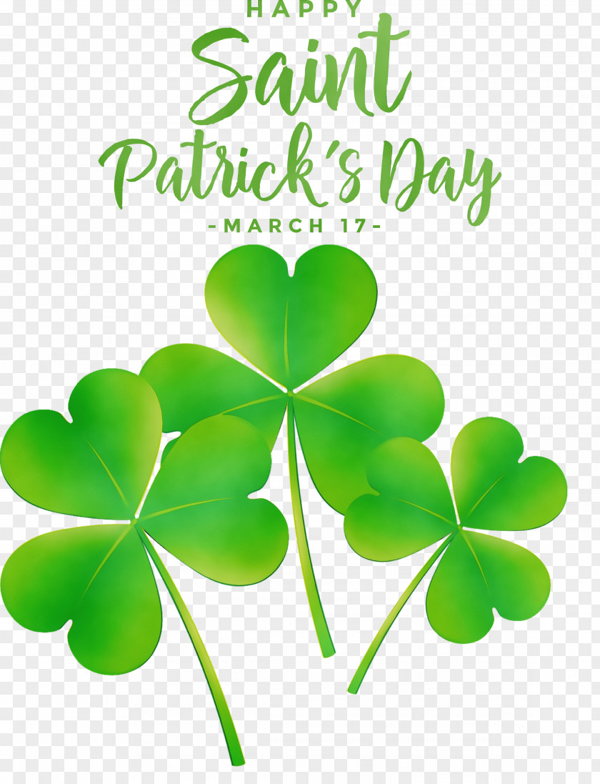 Shamrock PNG