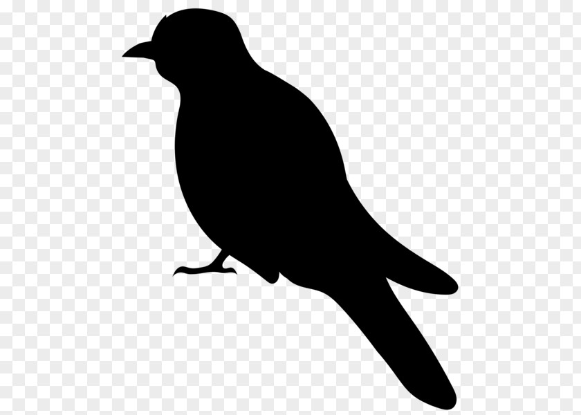 Bird Silhouette Clip Art PNG