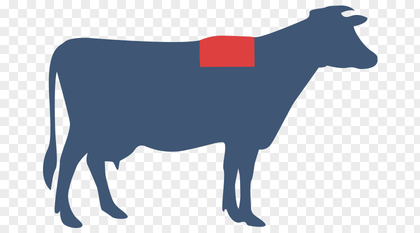 Dairy Cow Bull Sheep Cartoon PNG