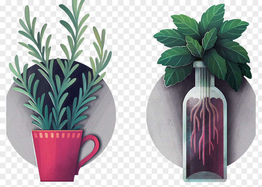 Flowerpot Penjing Image Green Horticulture PNG