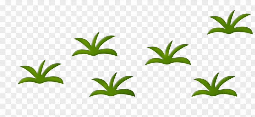 Herbaceous Plant Drawing Animation Clip Art PNG