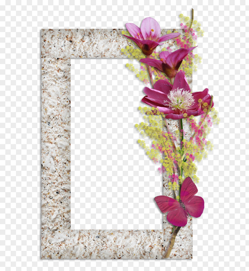 Painting Floral Design Picture Frames Paper PNG