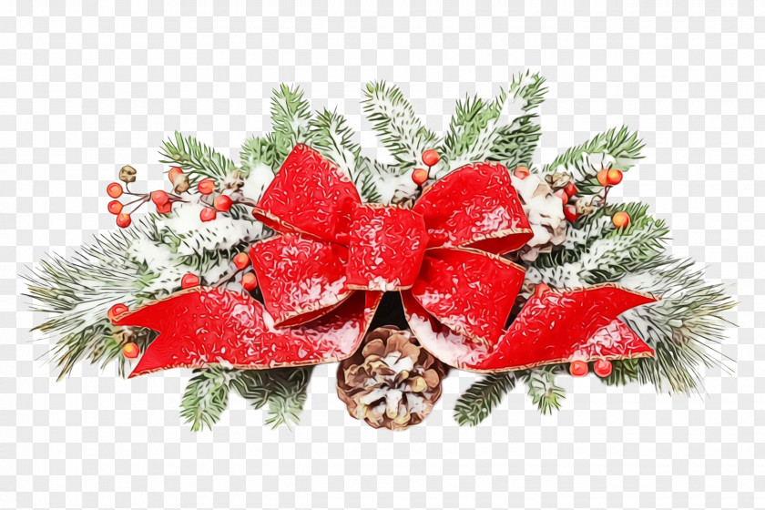 Pine Family Flower Christmas Decoration PNG