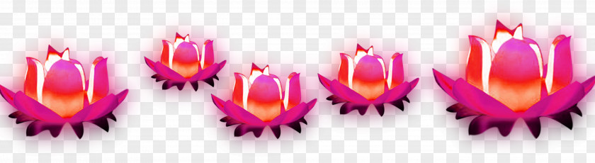 Red And Fresh Lotus Decoration Pattern PNG