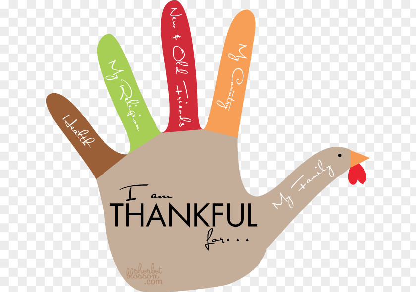 Thanksgiving Material Turkey Meat Template Paper PNG