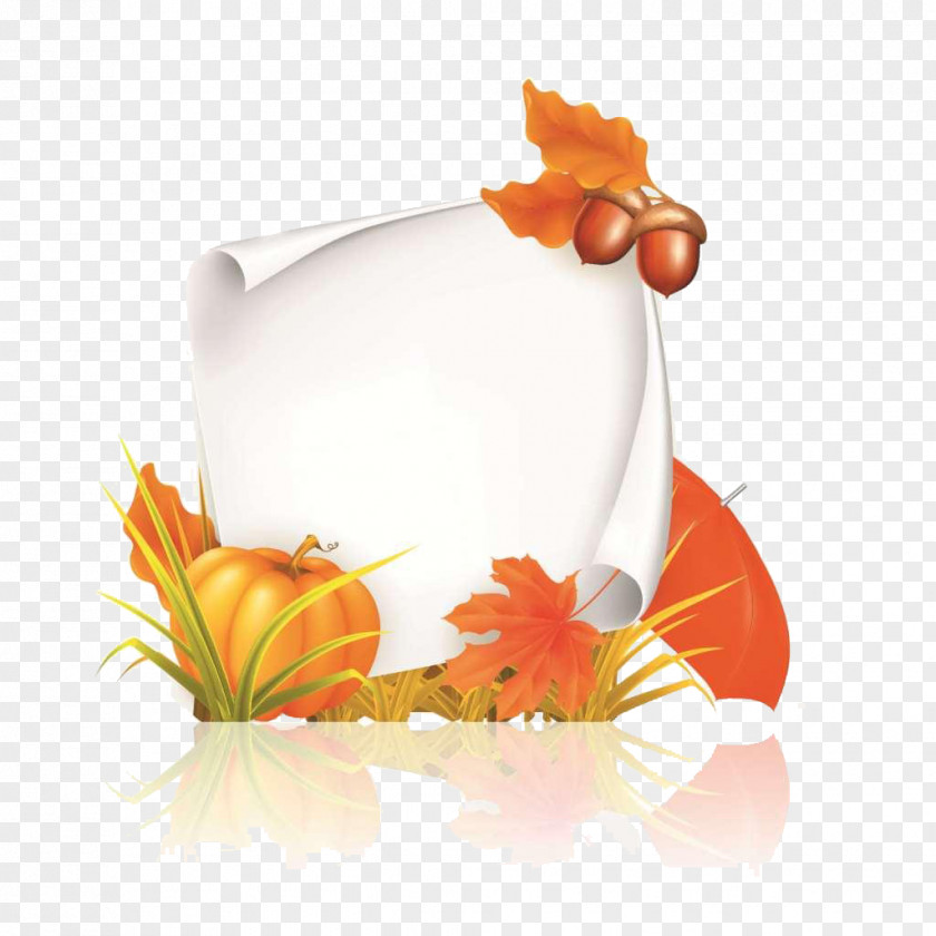 Autumn Display Box Clip Art PNG