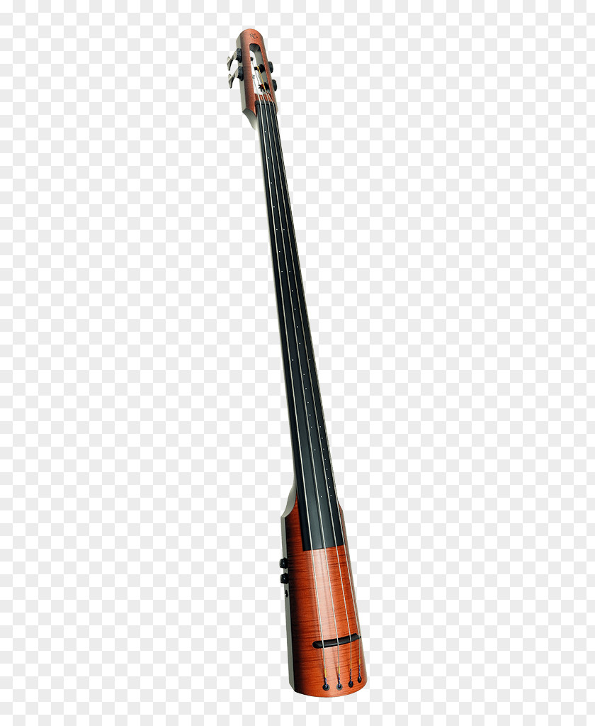 Bass Guitar Electric Upright Double Musical Instruments String PNG
