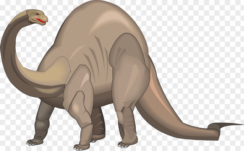 Dinosaur Vector Brontosaurus Apatosaurus Brachiosaurus Stegosaurus Clip Art PNG