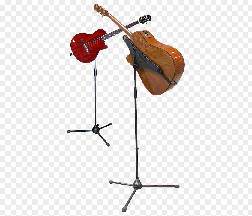Guitar Acoustic Bass Electric Musical Instruments PNG
