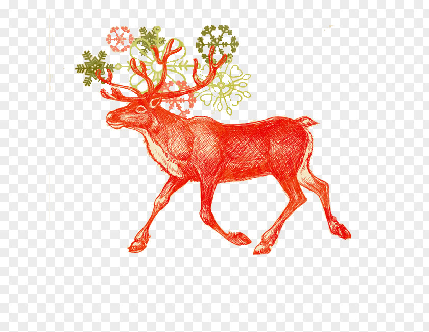 Lovely Hand-painted Cartoon Deer Santa Claus Reindeer Christmas Card PNG