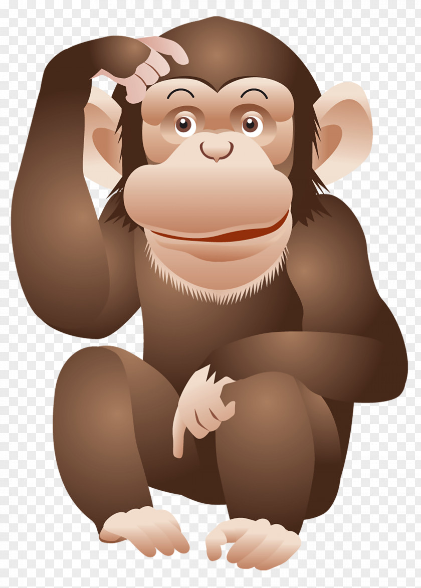 Monkey Image Ape Chimpanzee Clip Art PNG