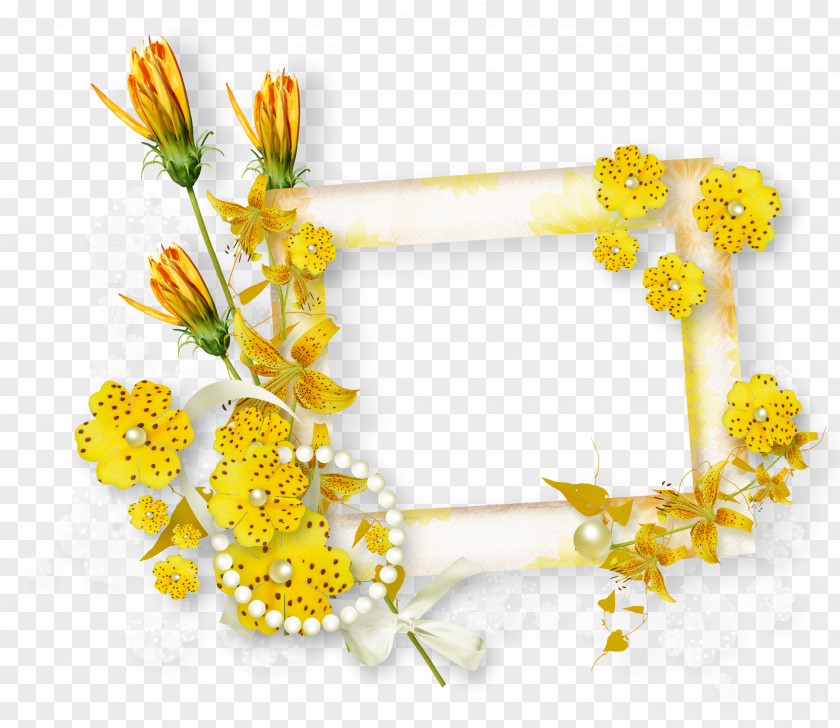 Yellow Frame Flower Picture Frames PNG