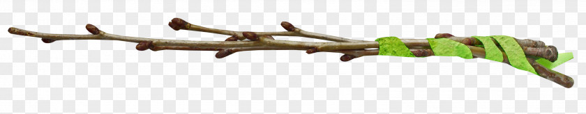 Dalì Gun Barrel Branching PNG