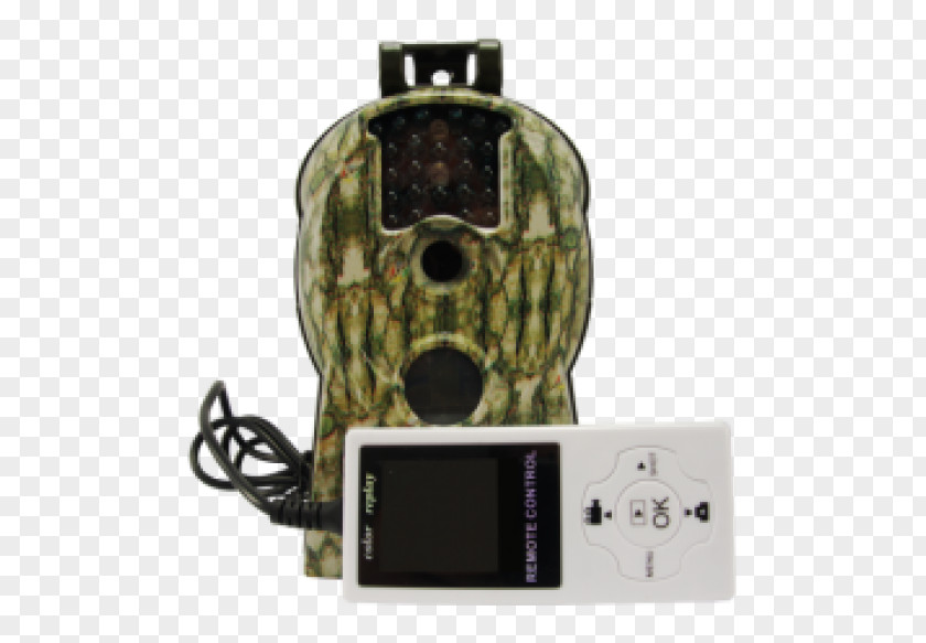 Forest Road Camera Trap Display Resolution High-definition Video Photography PNG