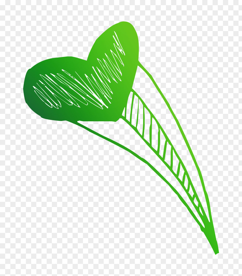 Leaf Green Shoe Product Design Plant Stem PNG