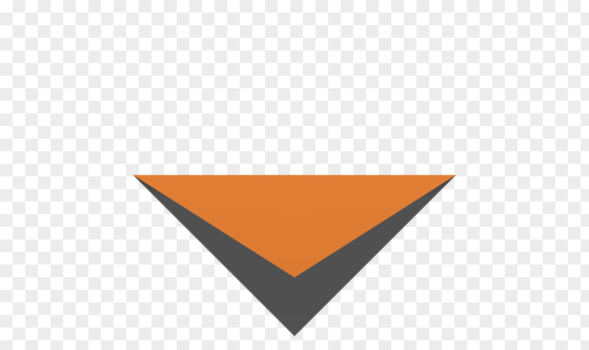 Mandarin Duck Line Angle Point Brand PNG