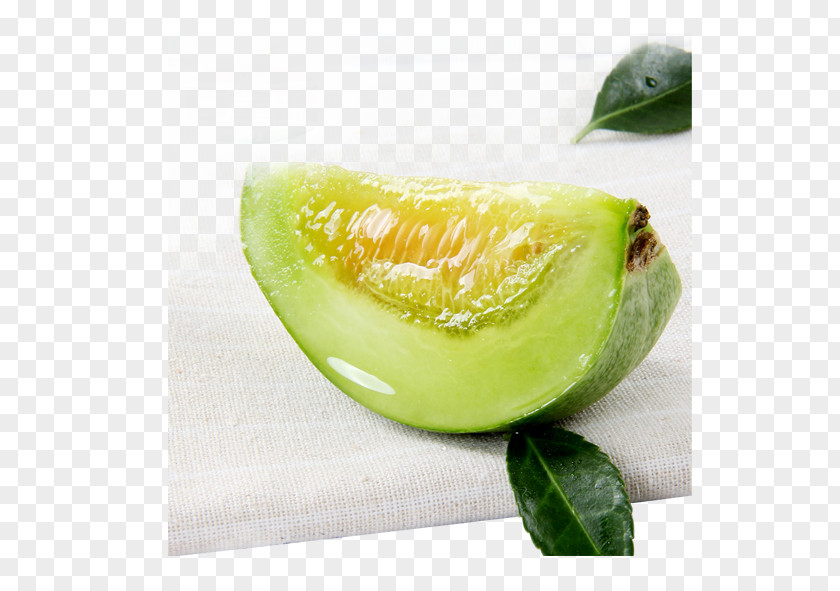 Melon Cantaloupe Honeydew Fruit Food PNG