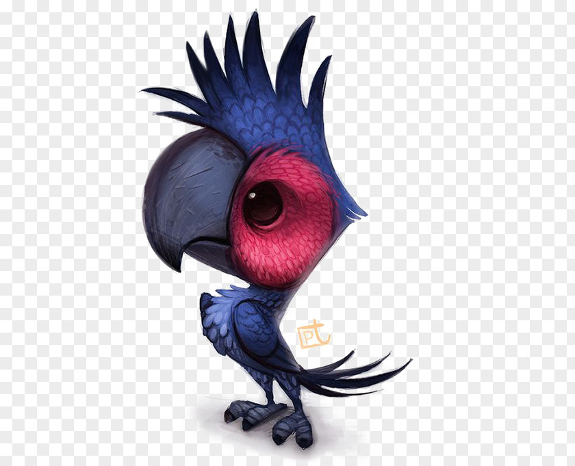 Parrot Bird Digital Art Cockatoo PNG