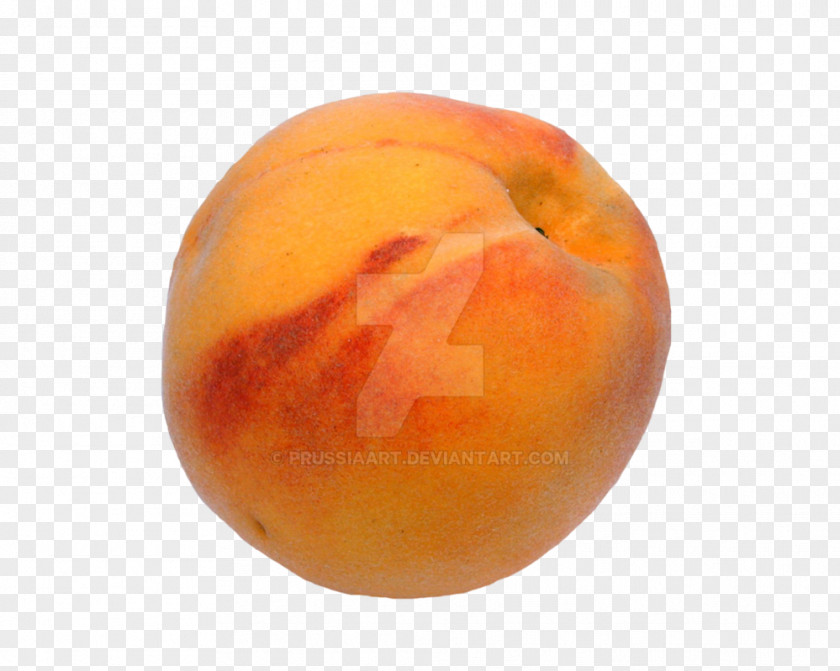 Peach Fruit Desktop Wallpaper Clip Art PNG