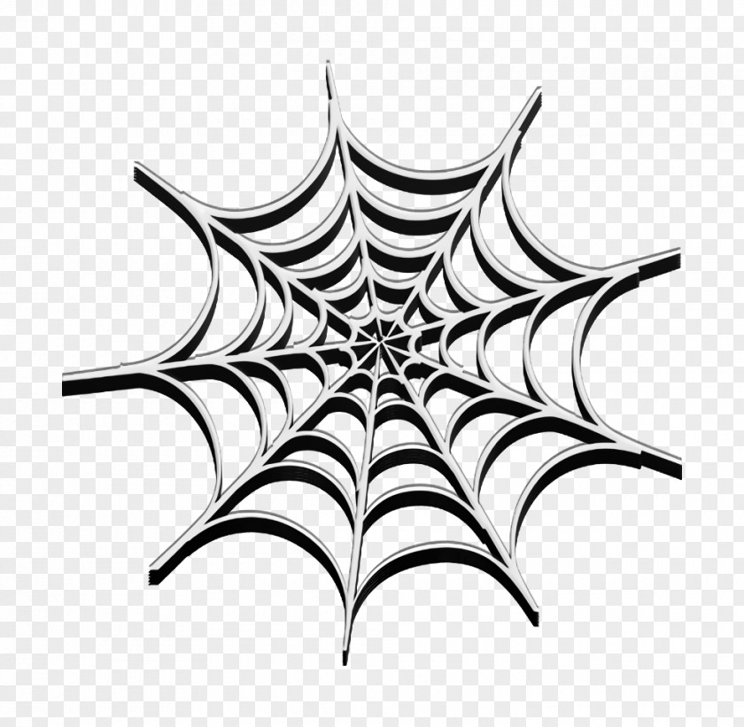 Spider Web Icon Halloween2013 Animals PNG