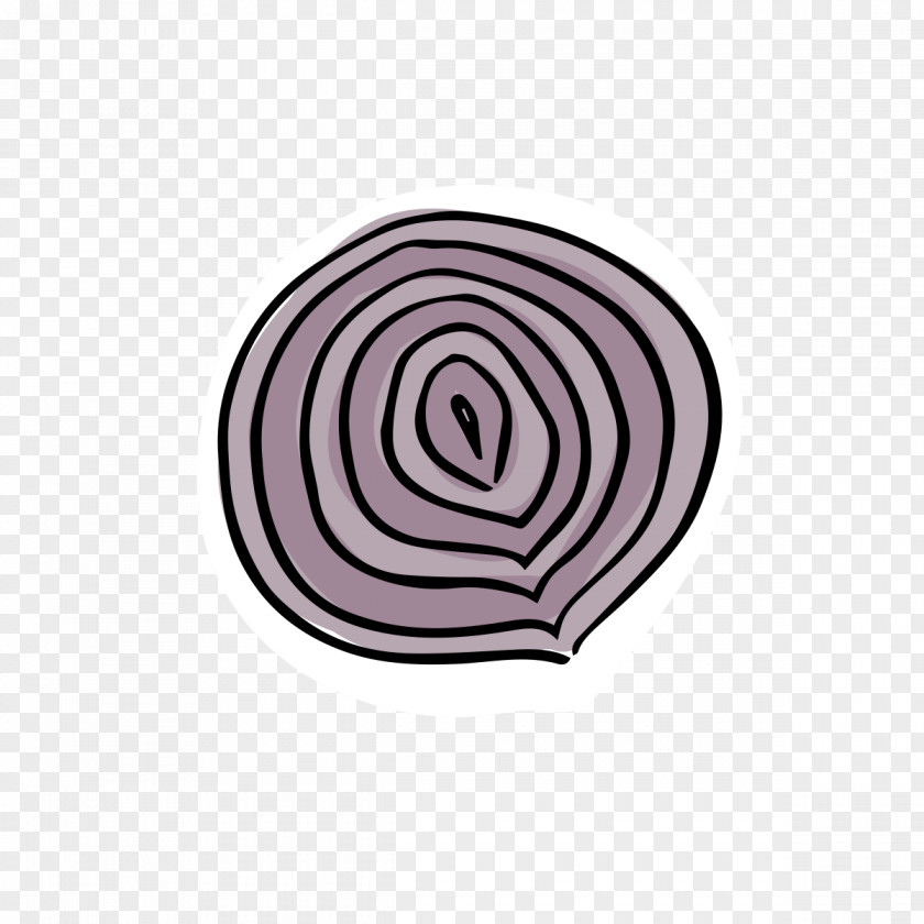 Vector Onions Onion Ring PNG