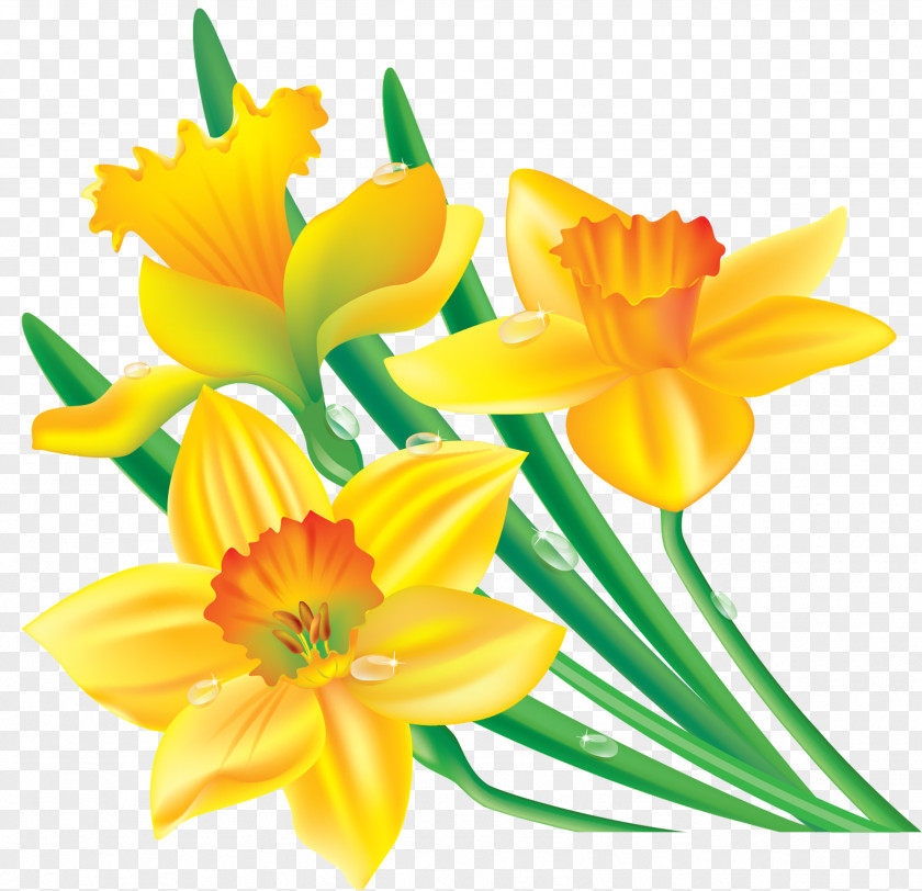 Yellow Flowers Border Banner Clip Art PNG