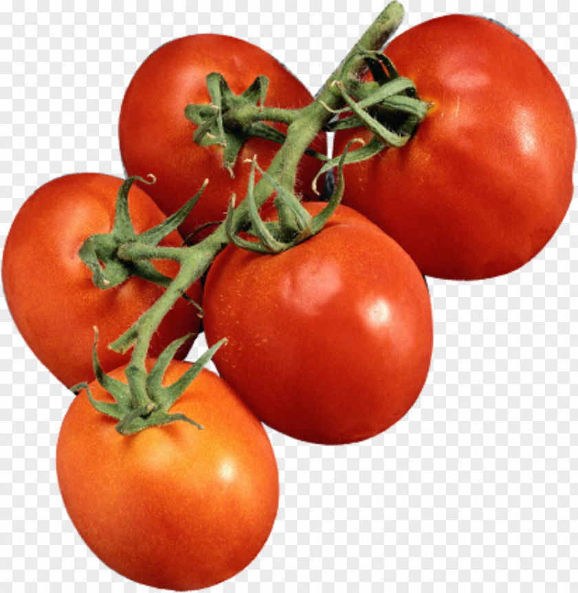 A Bunch Of Tomatoes Plum Tomato Cherry Bush Vegetable PNG