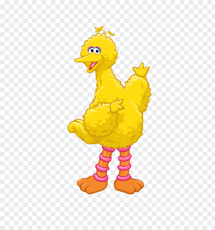 Big Bird Elmo Ernie Oscar The Grouch Cookie Monster PNG