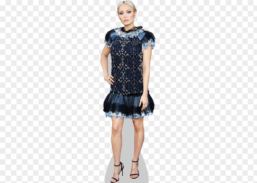 Dress Lace Clothing Sleeve A-line PNG