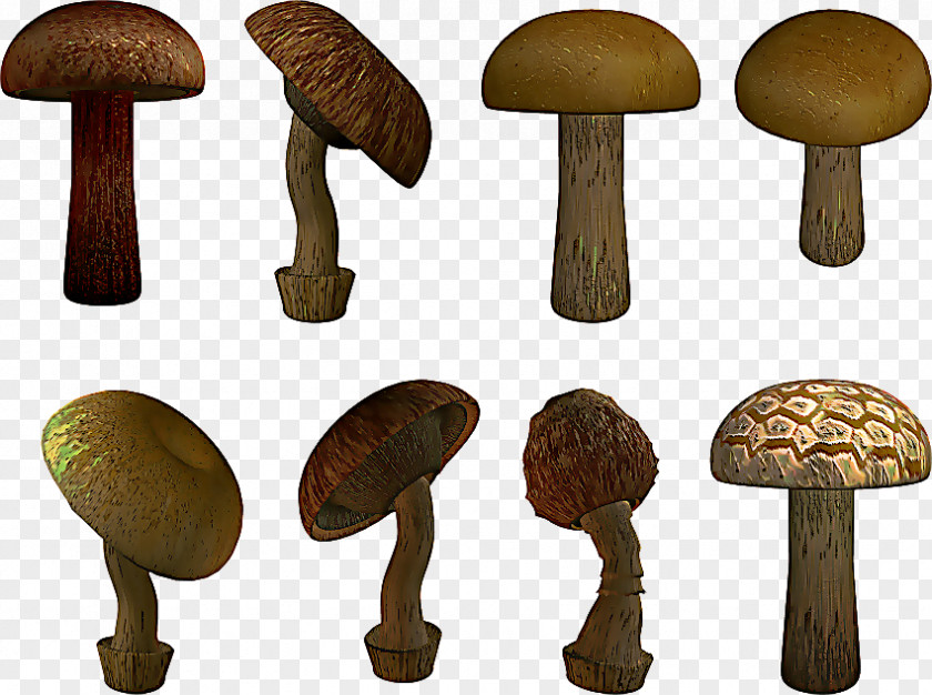 Fawn Oyster Mushroom Cartoon PNG