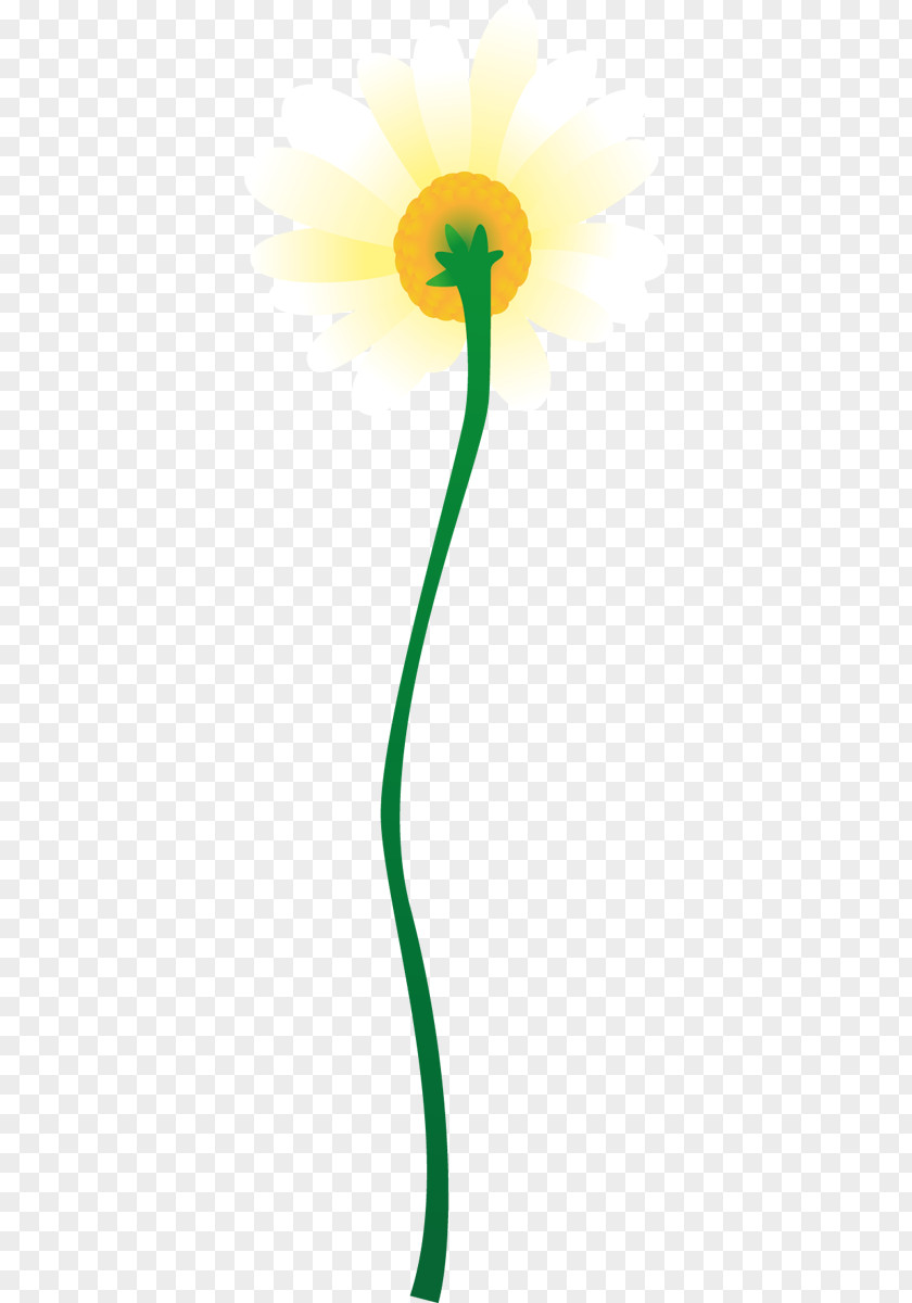 Leaf Green Plant Stem Petal Clip Art PNG