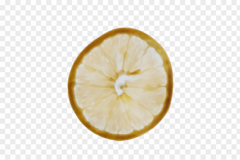 Meyer Lemon Food Citrus Citron Yellow Fruit PNG