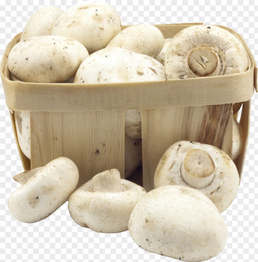 Mushroom Snow Fungus Diabetic Diet Edible PNG