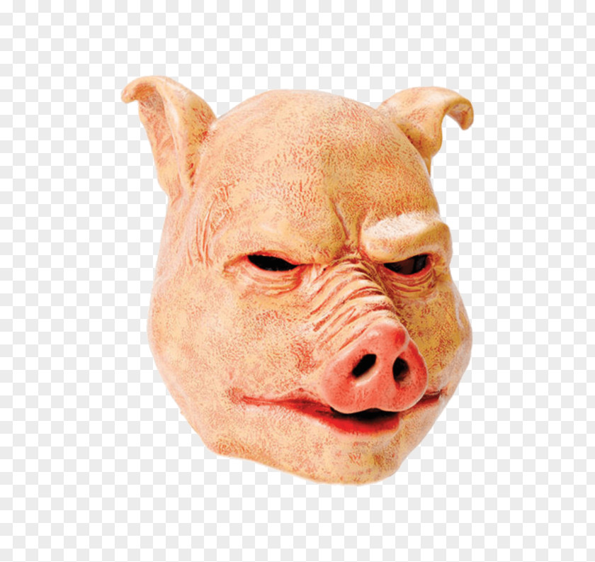 Pig Costume Party Mask Halloween PNG