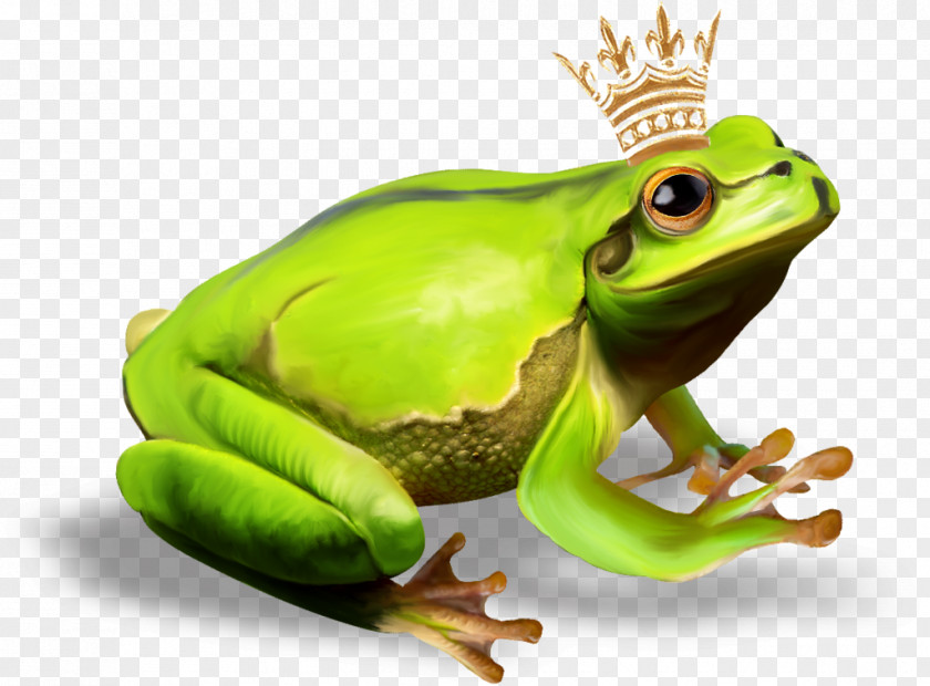 Prince Frog The True PNG