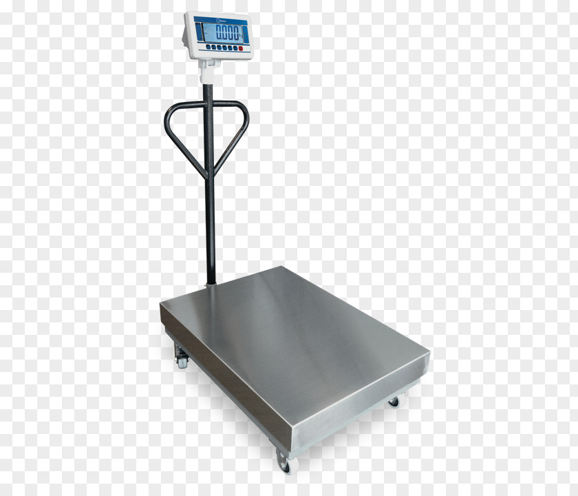 Bascula Bascule Measuring Scales Weight Point Of Sale PNG