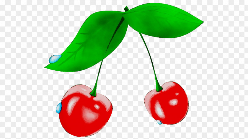 Cherry Pie Cherries Clip Art Vector Graphics PNG