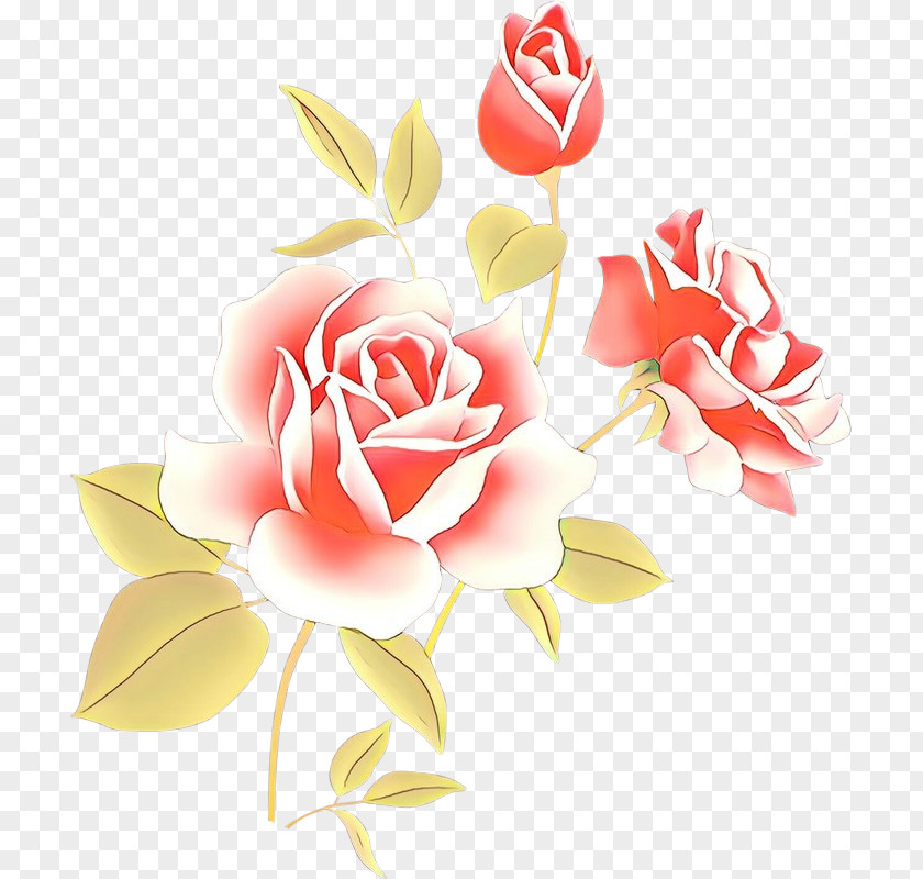 Garden Roses Rose Family PNG
