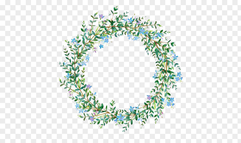 Grass Flower Ring Wreath Stock Photography Illustration PNG