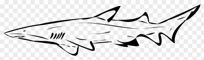 Sharks Stencil Drawing Shark Art PNG