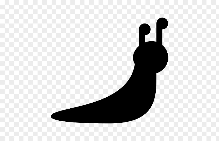 Snail Slug Mantle Clip Art PNG