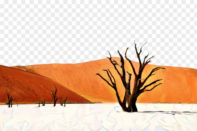Spitzkoppe Accommodation Travel Deadvlei Journeys Namibia PNG