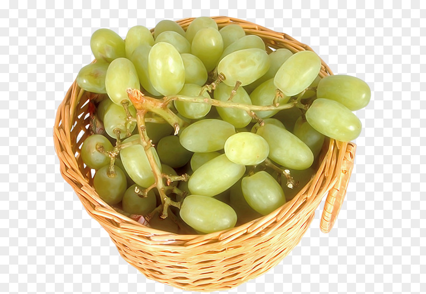 Vector Grapes Grapevines Fruit Juice Vesicles PNG