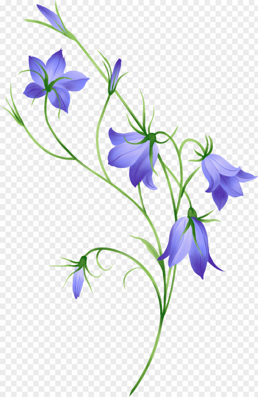Bell Flower Clip Art PNG