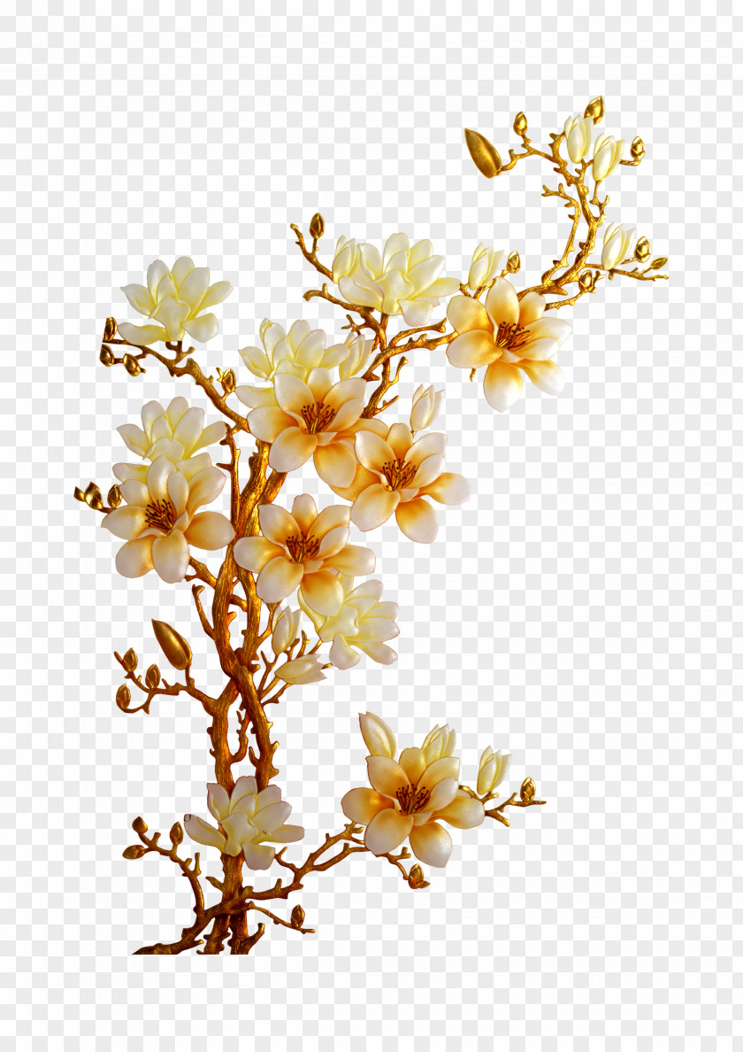 Chrysanthemum Flower Petal PNG